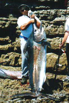 Marlin 43 kg fra Australien